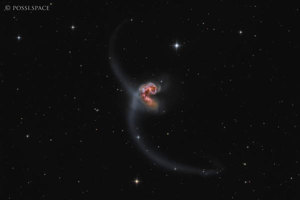 Click for full size 210324_ngc4038_antennae_galaxies_-_chile_cdk24_remote_lrgb.jpg