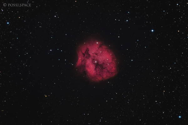 Click for full size 210820_cocoon_nebula_-_cdk17_reduced.jpg