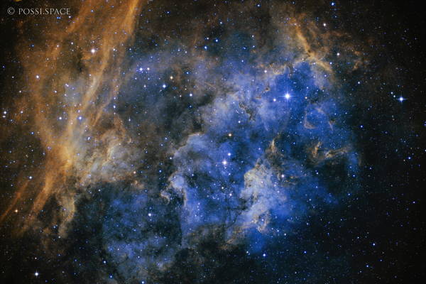 211024_sh2-115_wolf_nebula_-_cdk17_reduced.jpg