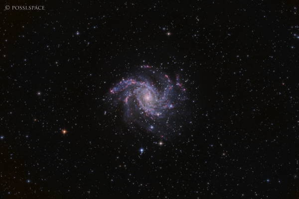 230531_ngc_6946_fireworks_galaxy_-_cdk17_-_hlrgb.jpg