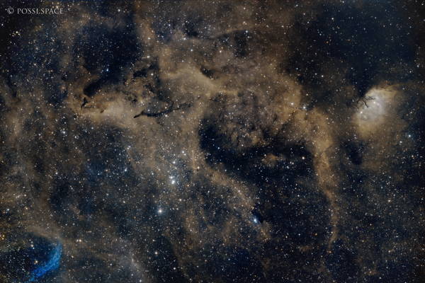 230801_ngc6871_cygni_widefield_-_rasa36_iho.jpg