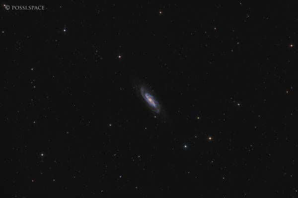 Click for full size 231219_ngc3198_barred_spiral_galaxy_-_cdk17_reduced_lrgb.jpg