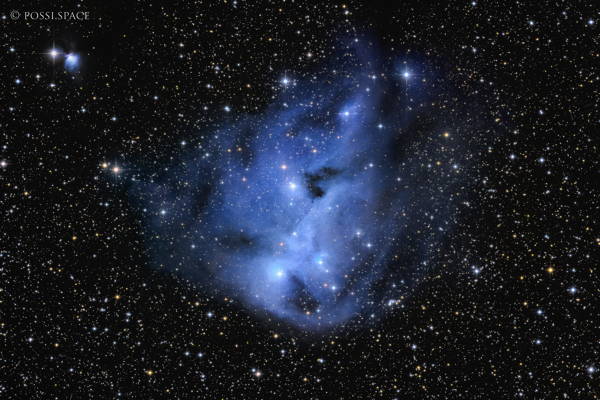 Click for full size 240303_ic447_reflection_nebula_-_cdk17_reduced_lrgb.jpg