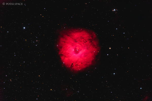 Click for full size 241103_sh2-170_small_rosette_nebula_-_cdk17_reduced_hgo.jpg