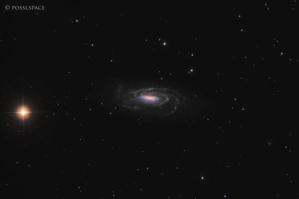 Click for full size 250201_ngc5033_waterbug_galaxy_-_cdk17_reduced_lrgb.jpg