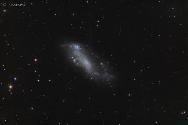 Click for full size 250220_ic2574_coddington_nebula_-_cdk_nativ_lrgb.jpg