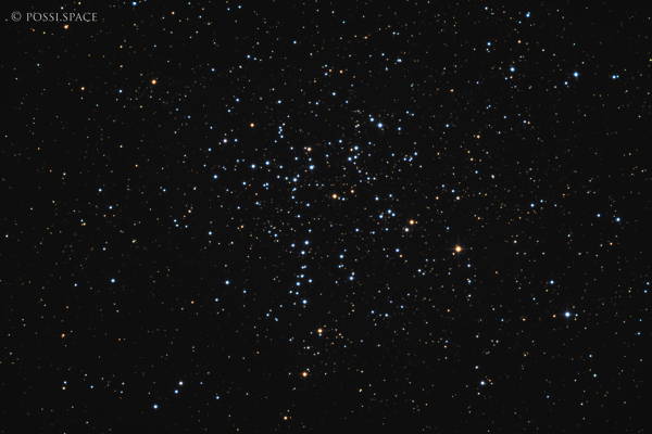 Click for full size 250301_m38_starfish_cluster_-_cdk17_nativ_lrgb.jpg