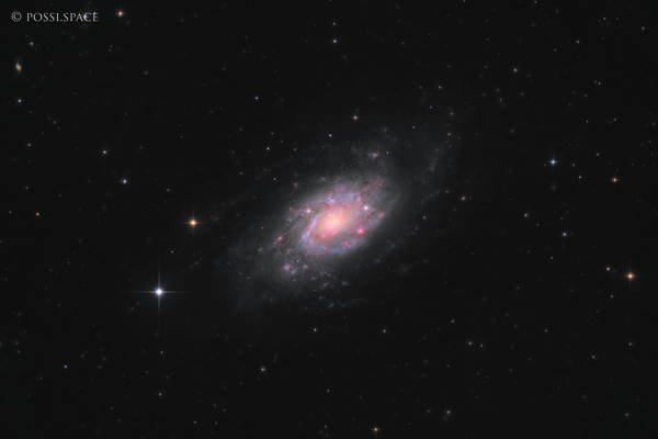 Click for full size 250305_ngc2403_spiral_galaxy_-_cdk17_nativ_hlrgb.jpg