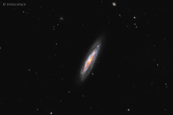 Click for full size 250306_ngc4192_bulge_galaxy_-_cdk17_nativ_lrgb.jpg