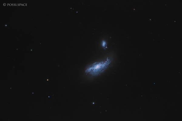 Click for full size 250417_ngc4490_cocoon_galaxy_-_cdk17_nativ_lrgb.jpg