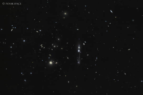 Click for full size 250422_ngc3561_guitar_galaxy_-_cdk17_nativ_lrgb.jpg