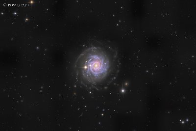 NGC3344 Weak Spiral Galaxy